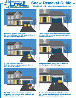 Snow Removal Guide